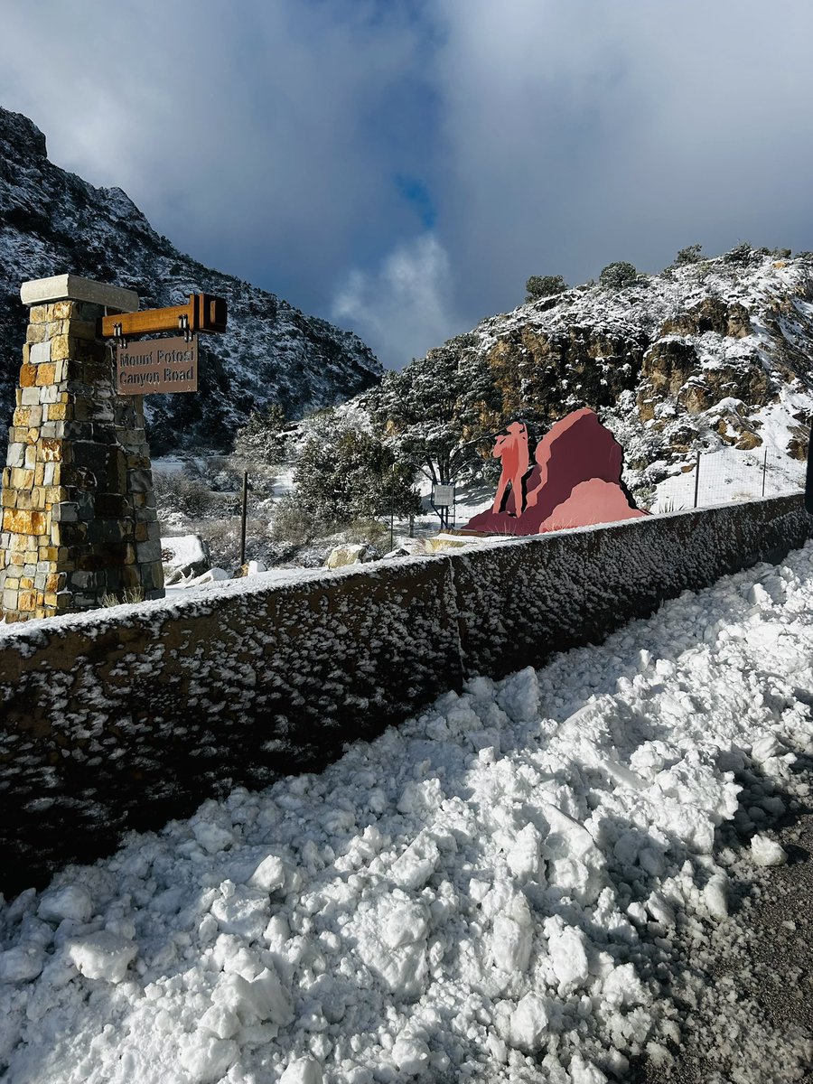 Out here in the Nevada mountain snow 🥶❄️☃️