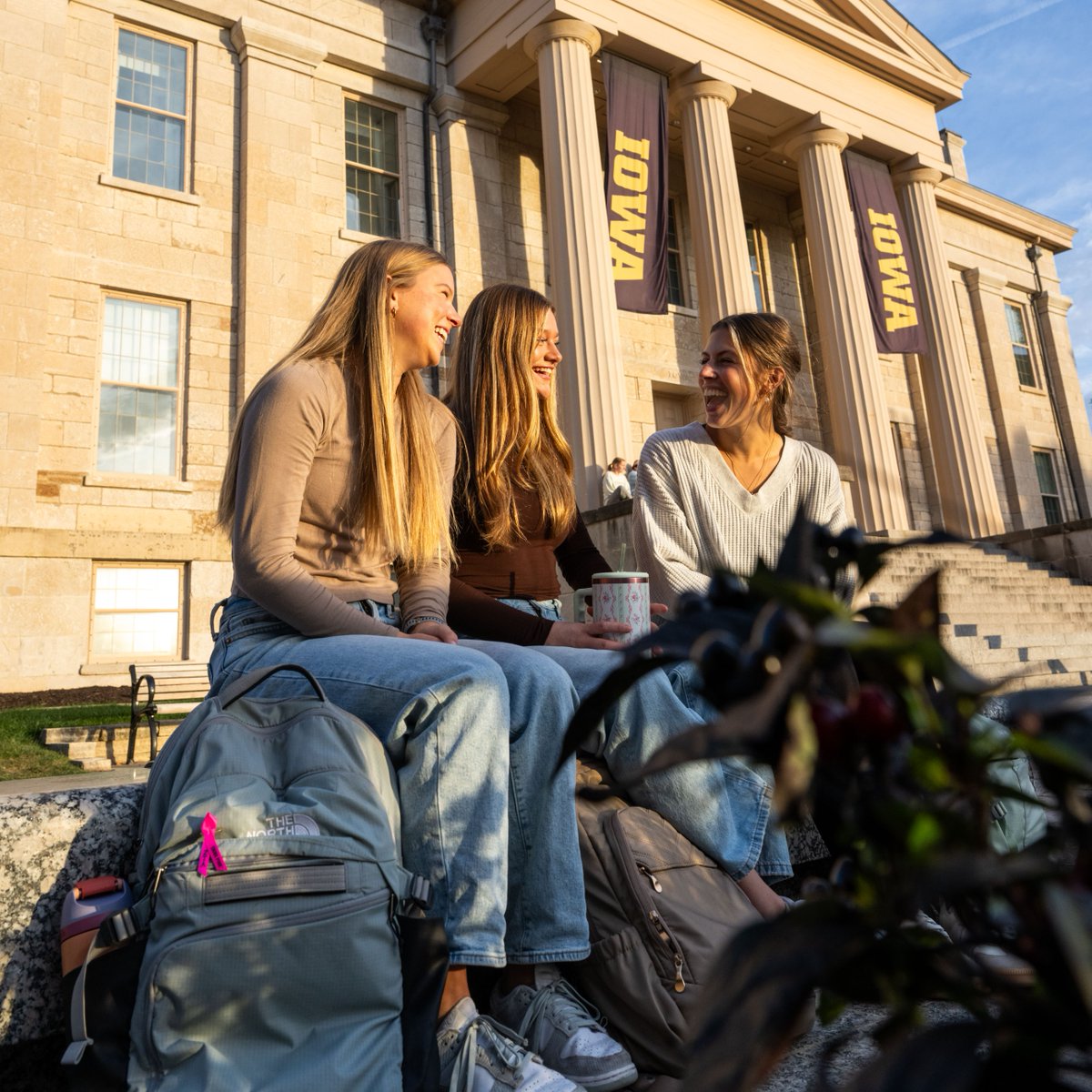 College of Liberal Arts and Sciences at Iowa tweet media