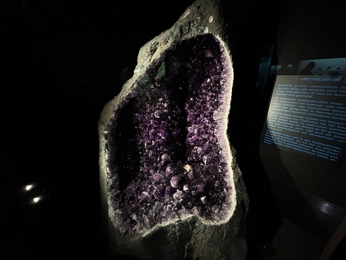 Banset La2et بانسة لقط (@ingodwetrust003) on Twitter photo 