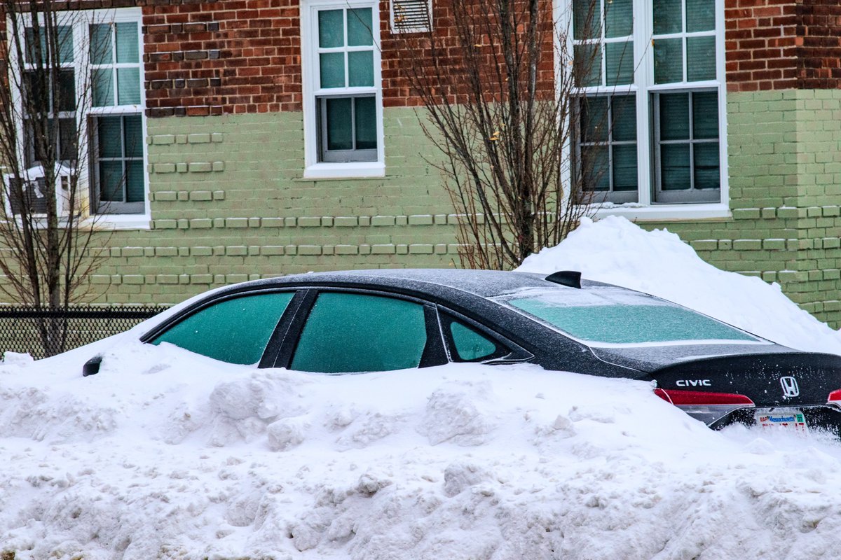 Some of the clicks in snowy day ❅

#photograghy #nikon #fyp #nature #city