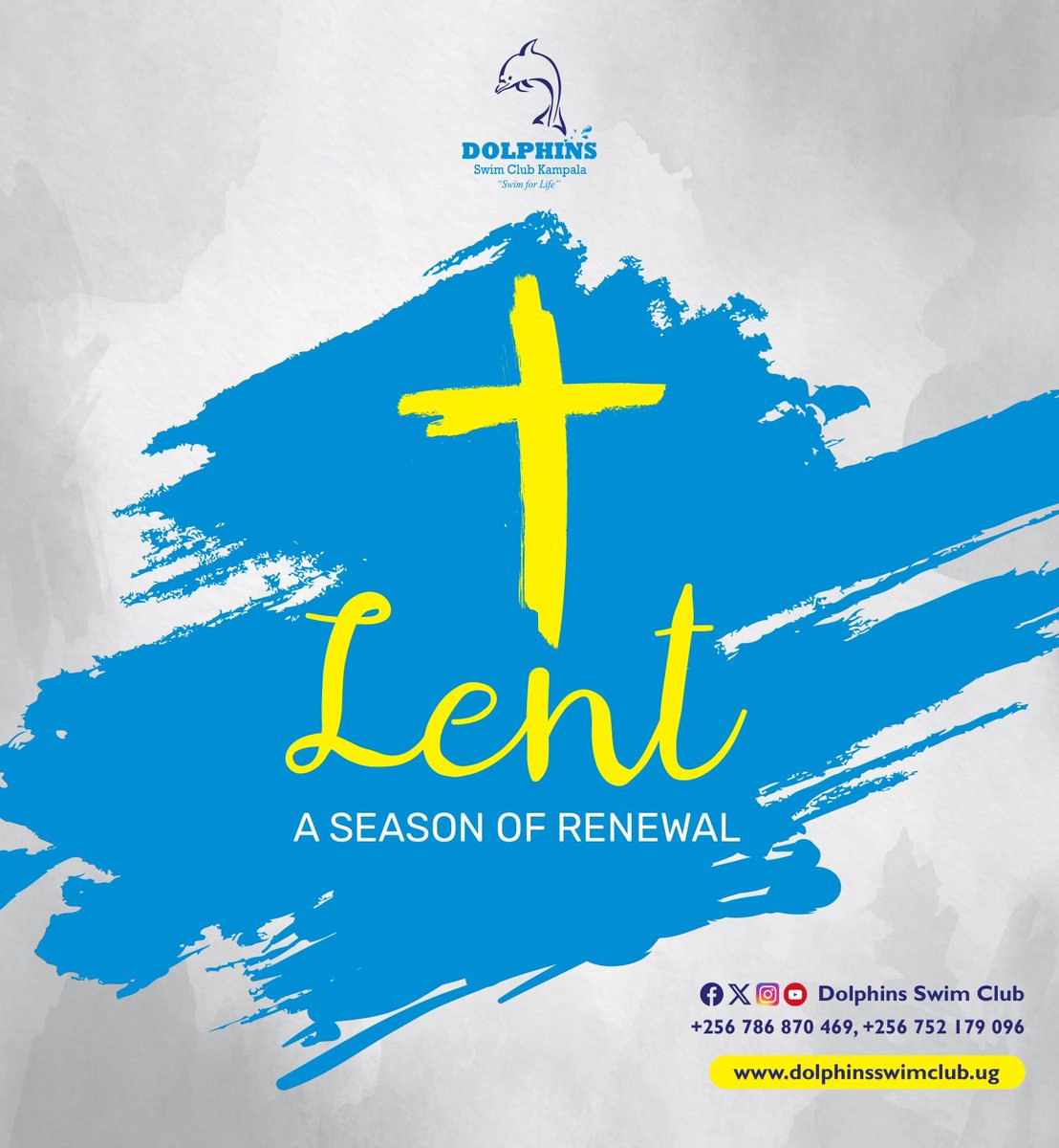 Dolphins Swim Club Kampala tweet media