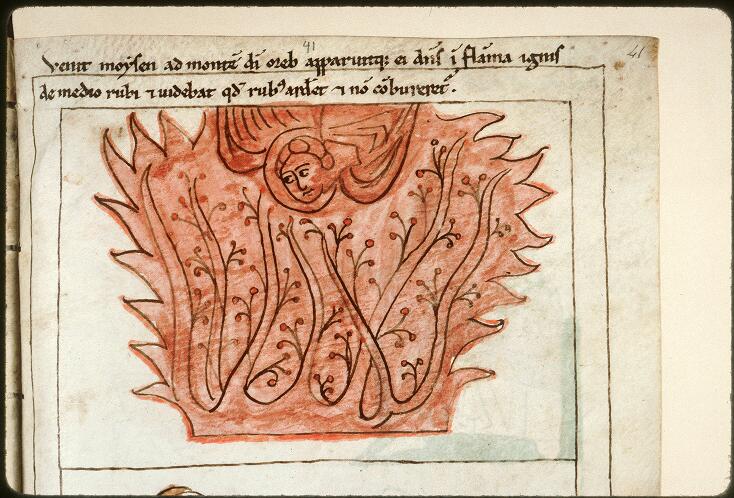 Mikel Zuza tweet media