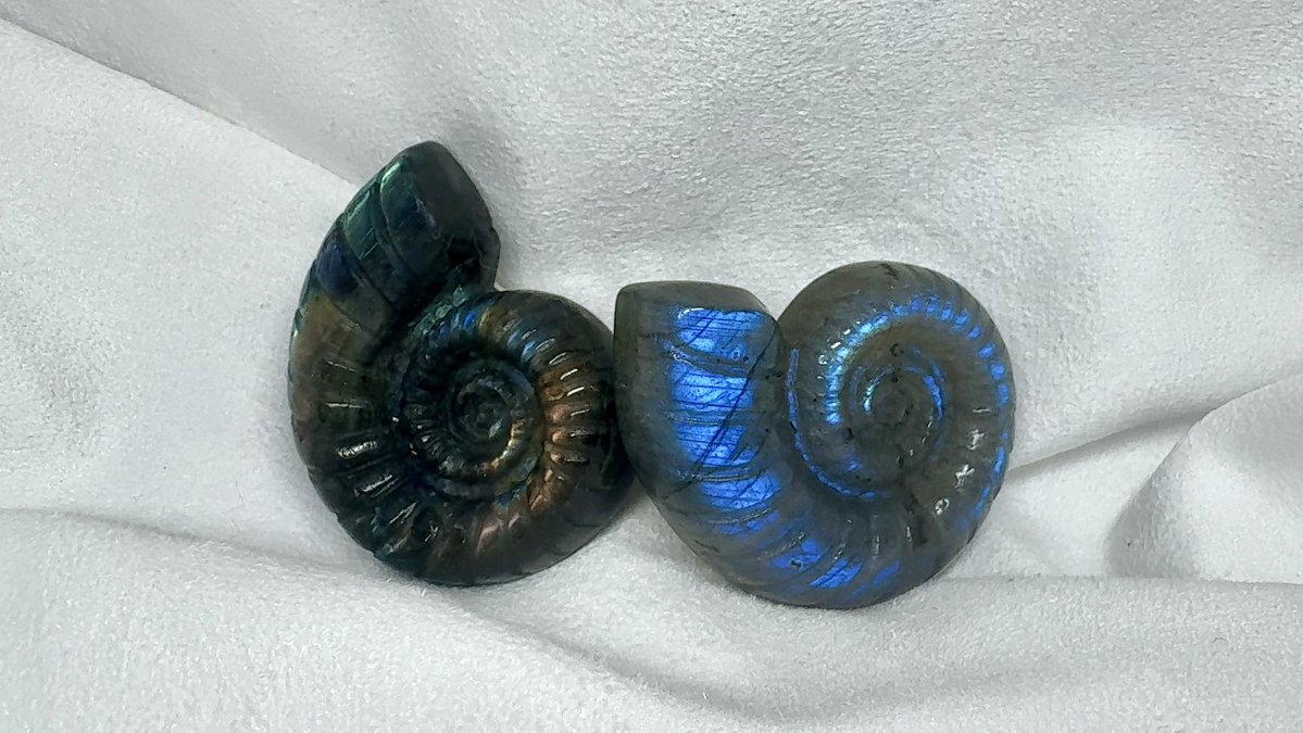 マダマダマダガスカル (@xkpSNxcigsIRTGZ) / Posts / X