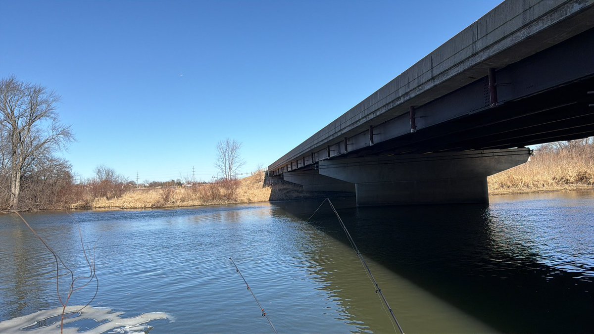 Gnar ⁷ᵏ tweet media