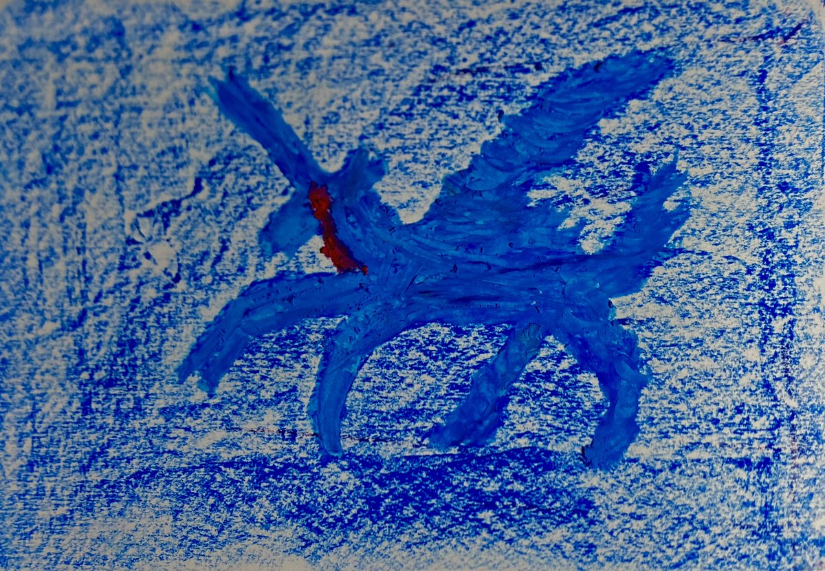 delittle_prince 👑 tweet media