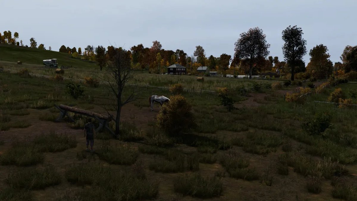 The steeplechase course at Beetle Drive, Novikostok 🏇