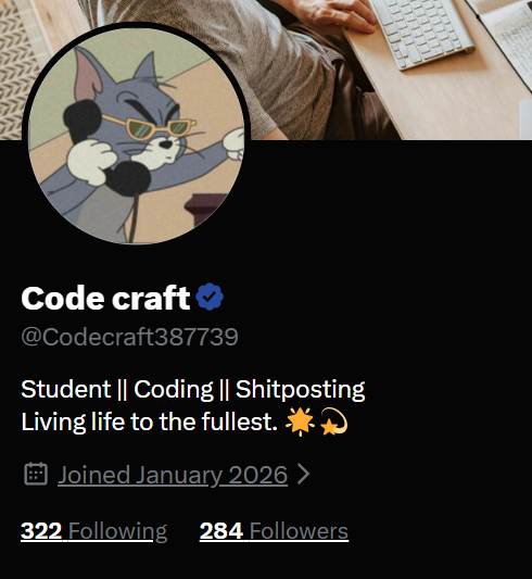 Code craft (@Codecraft387739) / Posts / X
