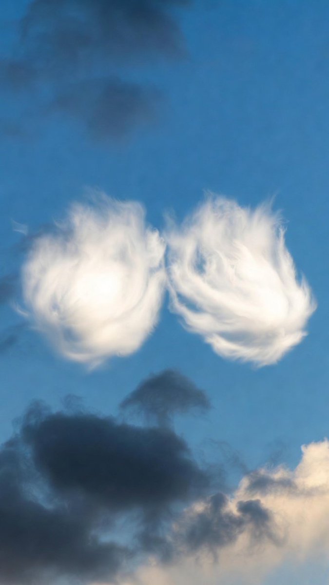 Countergrind tweet media