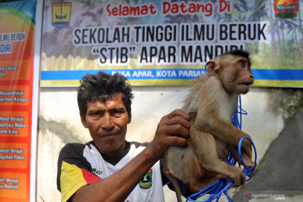 Dah lah tweet media