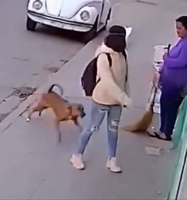 Prófugos del Ácido Fólico 2.0 tweet media