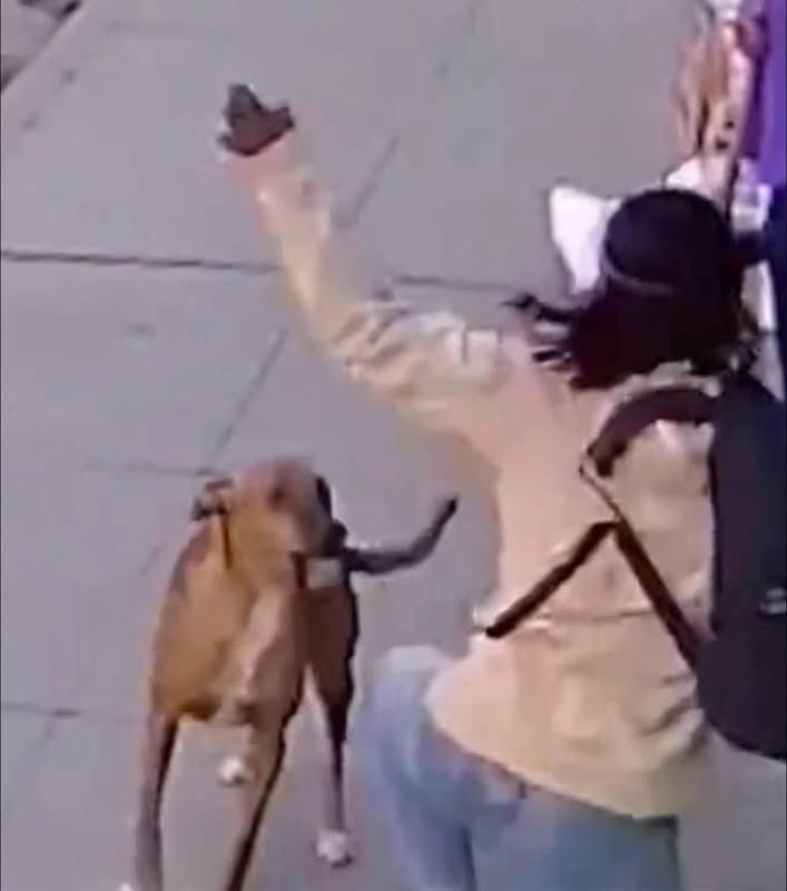 Prófugos del Ácido Fólico 2.0 tweet media