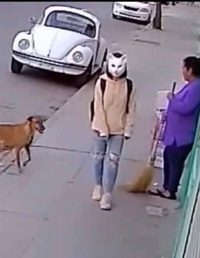 Prófugos del Ácido Fólico 2.0 tweet media