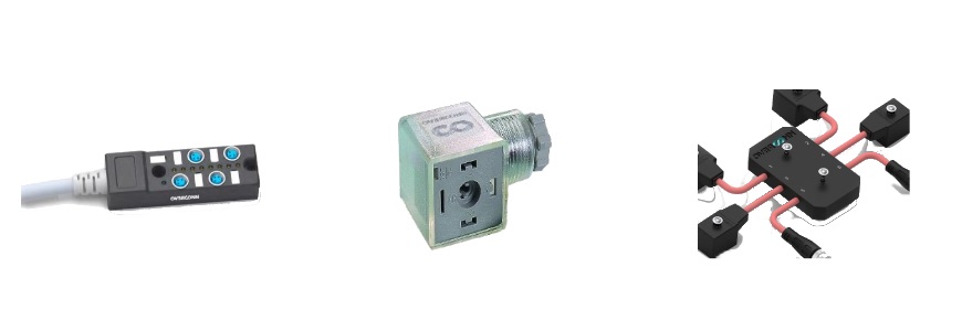 Rodavigo tweet media