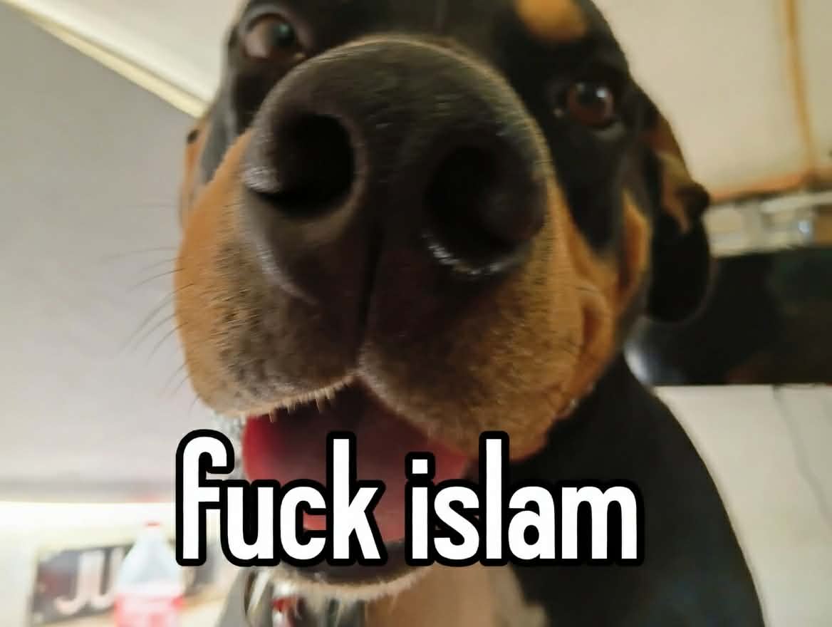 <a href="/M_Presidencia/">Ministerio de la Presidencia, Justicia y R. Cortes</a> Sois unas perras cipayas y sumisas del Islam.