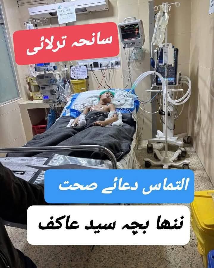 علمدار🚩 tweet media