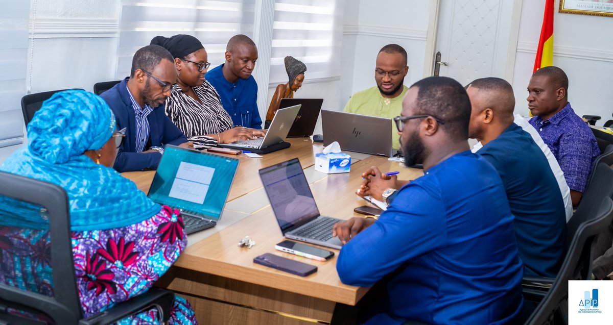 APIP Guinée tweet media