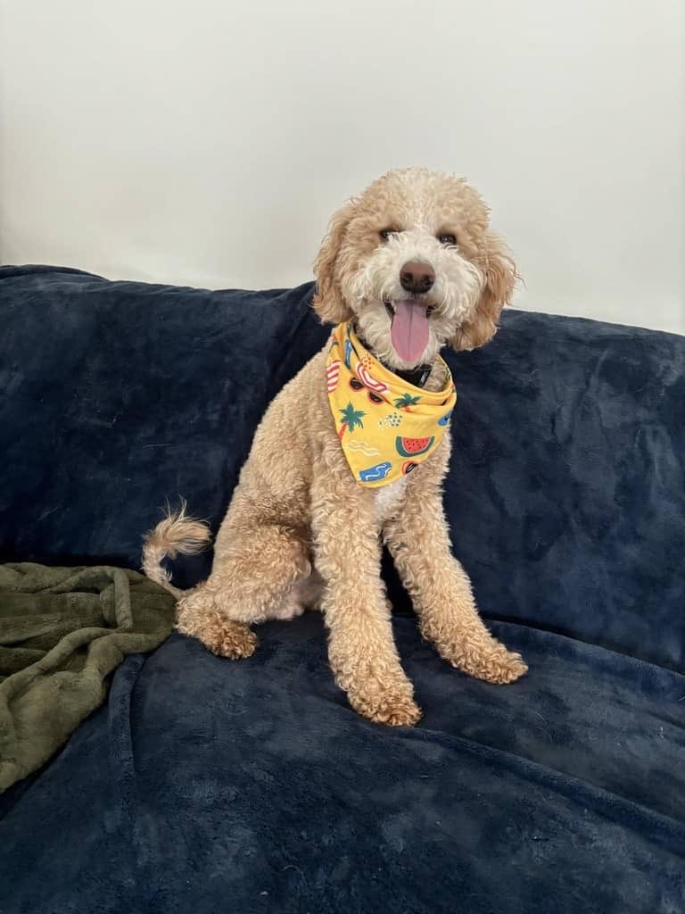 Brittany | UGC Creator tweet media