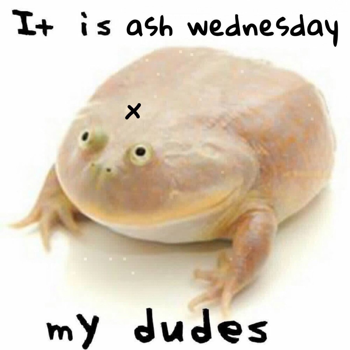 It Is Wednesday tweet media