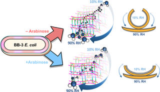 Dr. Jin Kim Montclare tweet media