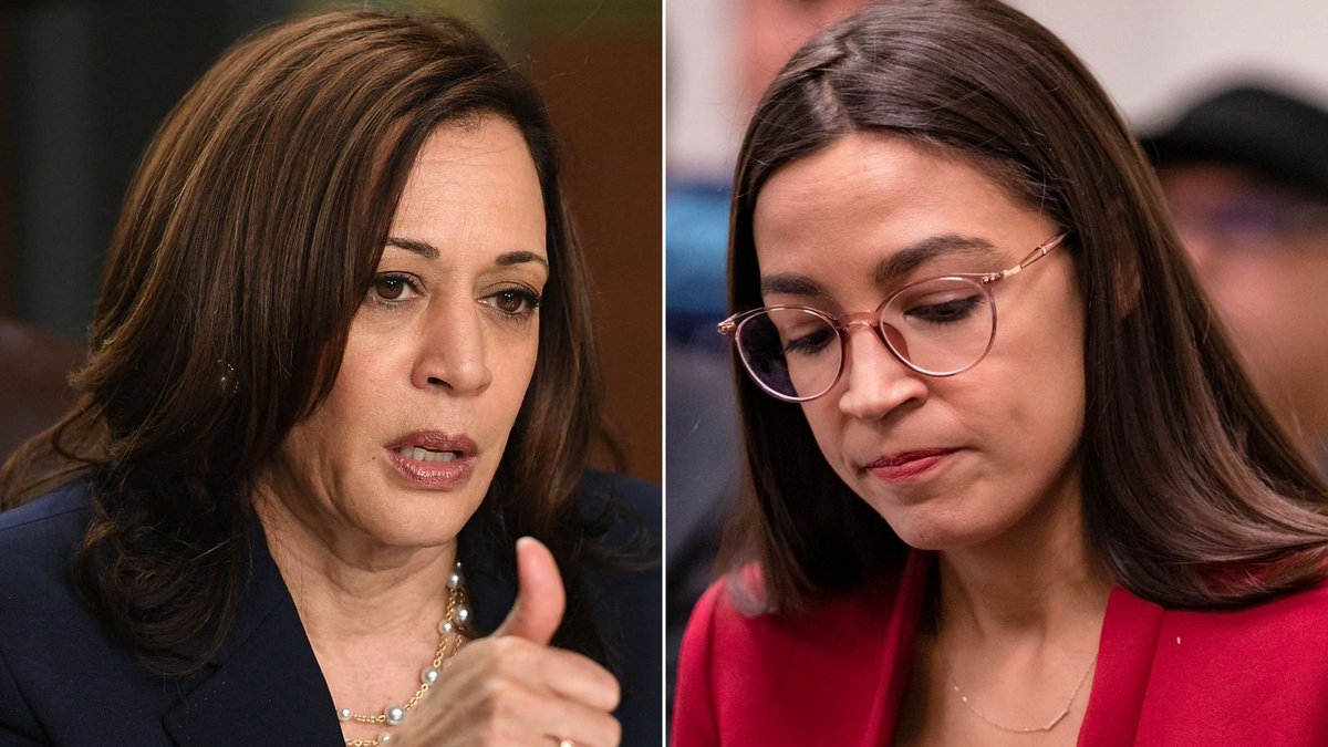 Kamala Harris wants AOC on the ticket with her in 2028 because she makes Kamala look smart by comparison.