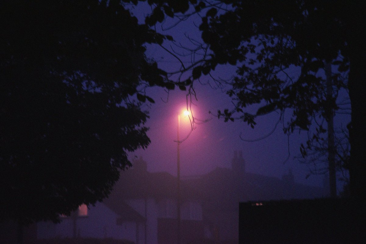 You're the creature of the night