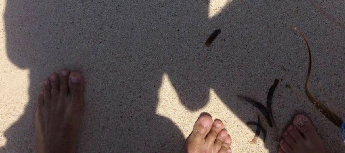 What do you think of the ideas?