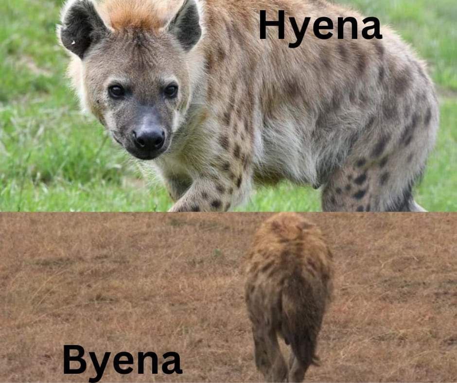 YensuThaYeen (@heyitsyensu) on Twitter photo 