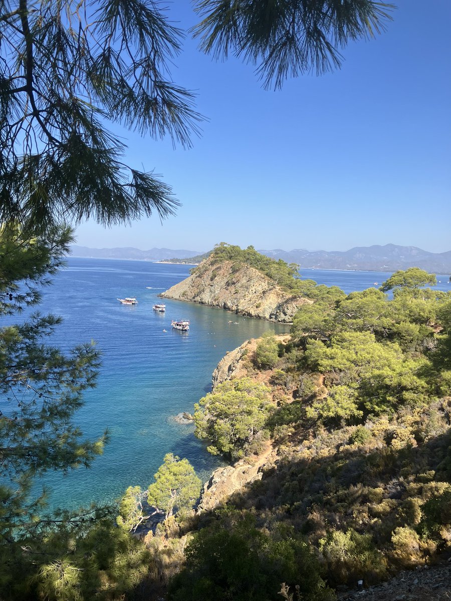 Mustafa Saatcı tweet media