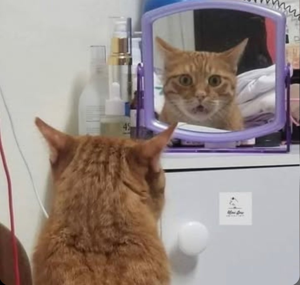 QUANDO LA SERA MI GUARDO ALLO SPECCHIO E REALIZZO DI ESSERE ANDATO IN GIRO TUTTO IL GIORNO CON QUESTA FACCIA