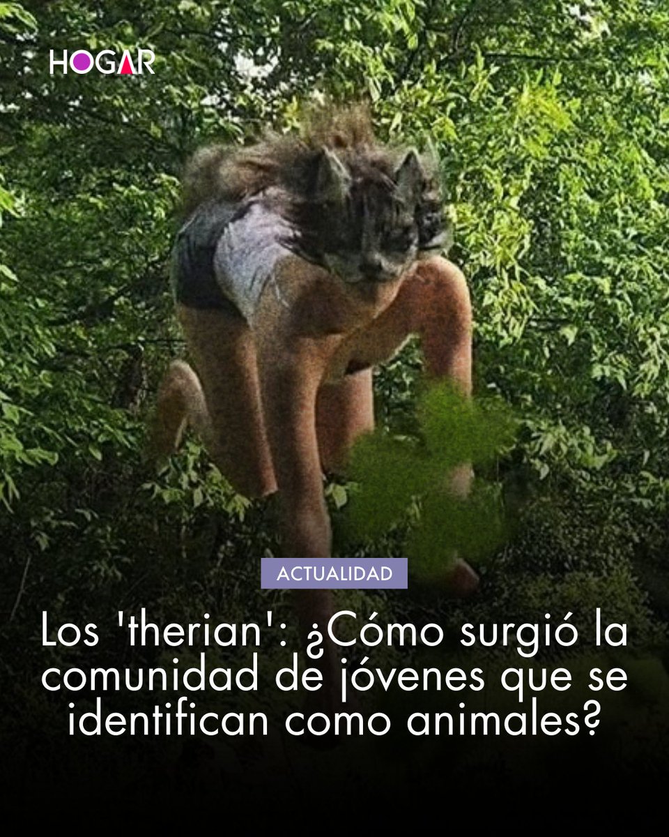 🦊🐶 Personas con máscaras de lobos y zorros corren en plazas de Argentina y Uruguay. Se identifican como “therians” y aseguran vivir una conexión profunda con un animal. ¿De qué trata este fenómeno viral en TikTok? 👉 v.vistazo.com/4qJsPQG