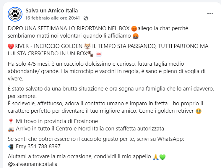 Qua la Zampa tweet media