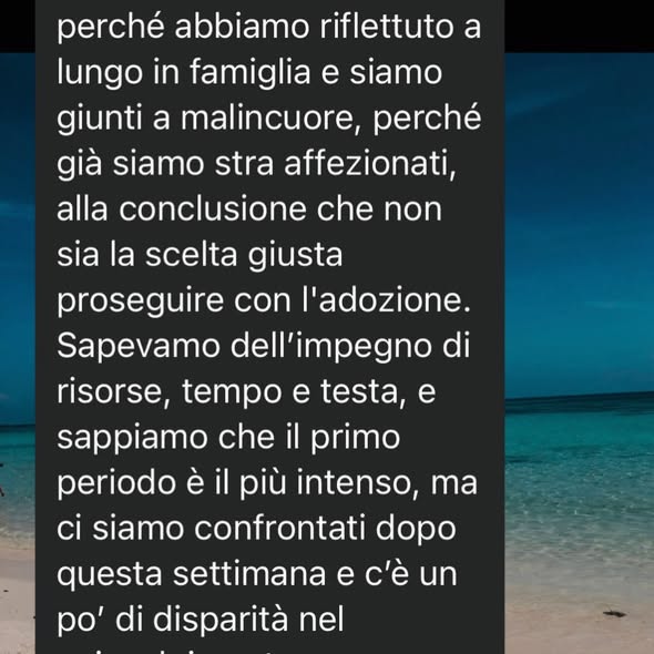 Qua la Zampa tweet media