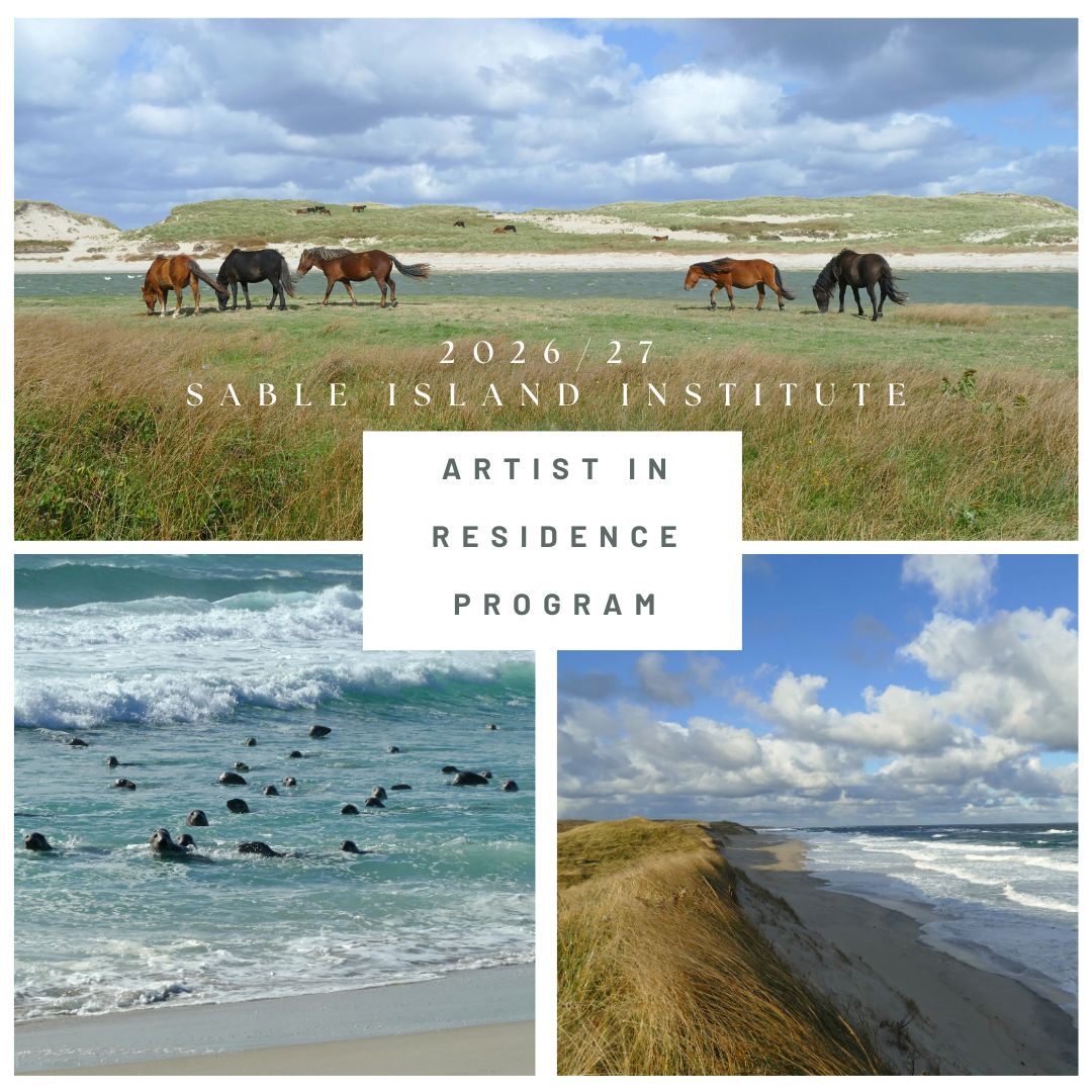Sable Island Institute tweet media