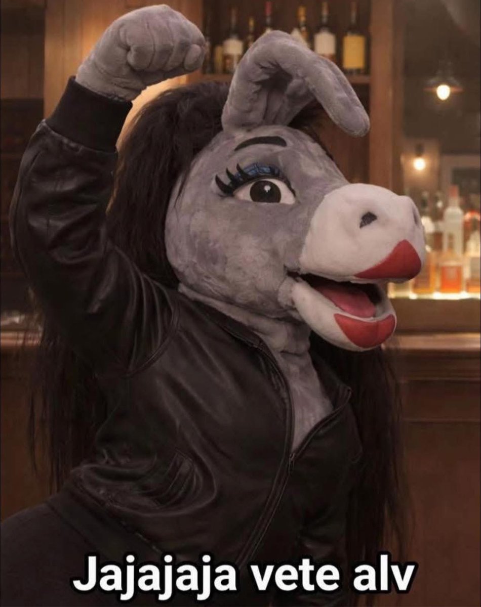 TV JOTAS tweet media