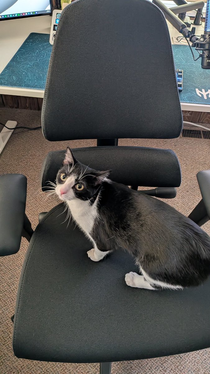 EG Royall tweet media