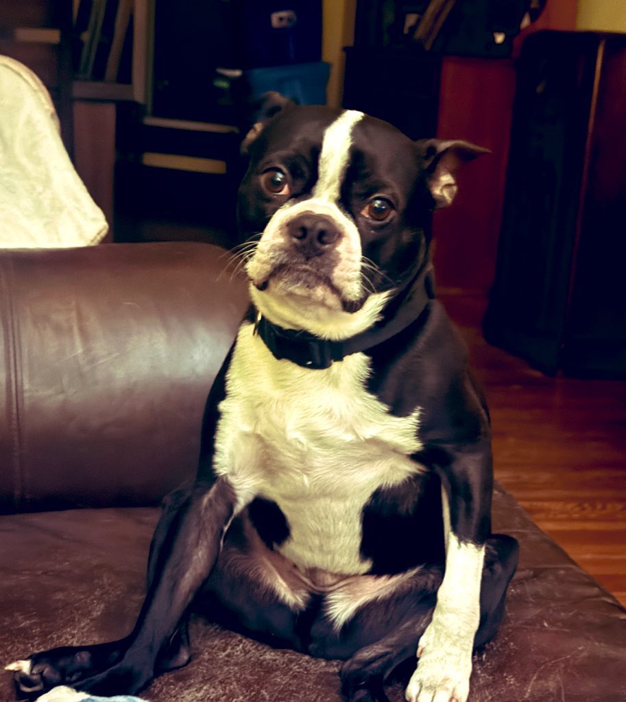 Gabrielle Enright tweet media