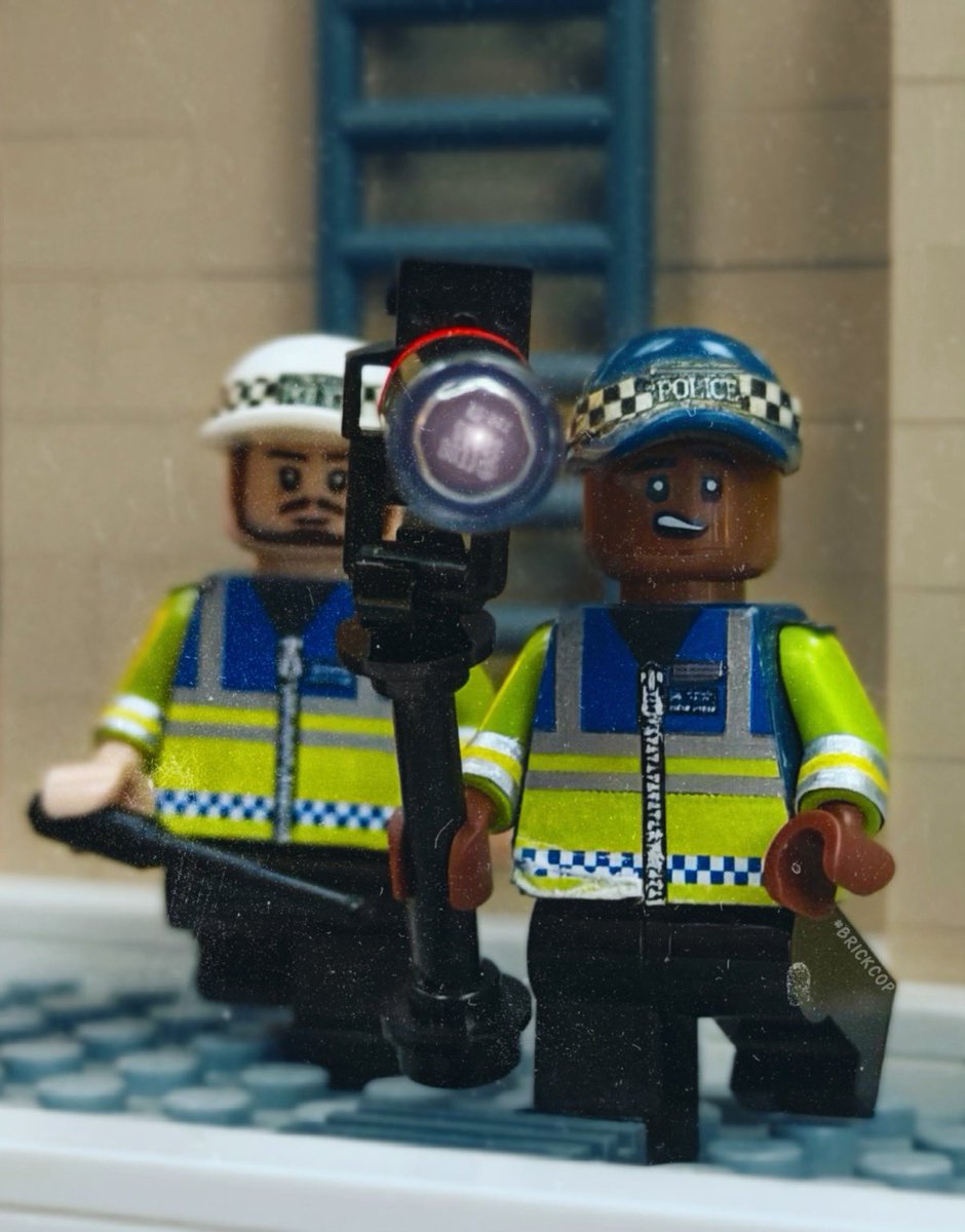 Brick Cop©️ tweet media