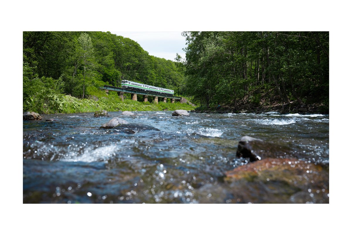 Shirakumo tweet media