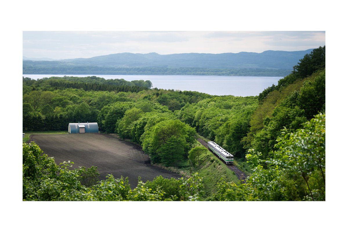 Shirakumo tweet media