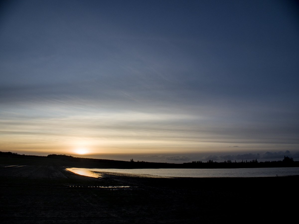 ☄️🌌🔭 ✖️Dam ⚡🌱🐙 tweet media