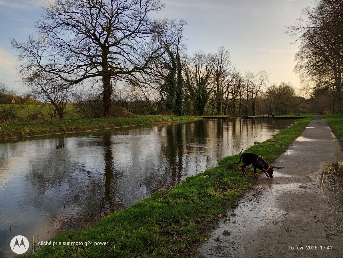 ThiChaplain's tweet image. Bon c'était lundi en fin d'après-midi et il n'est pas resté longtemps depuis c'est de la flotte en continu. Un #pont entre #Laniscat et Sainte Tréphine est sous le #Sulon (un affluent du #Blavet). Certains champs et pâtures sont sous les différents cours d'eau du #KreizBreizh