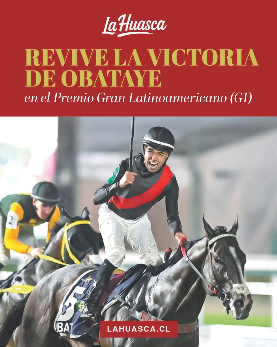 ElTurf.com tweet media