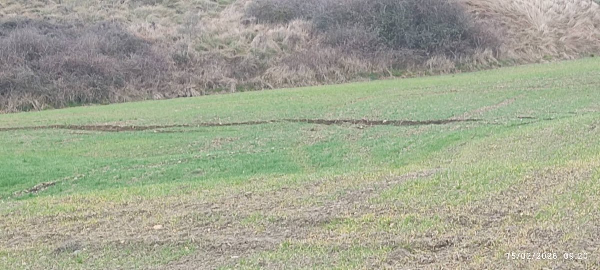 Radiovoluntarios de Emergencia NAVARRA tweet media