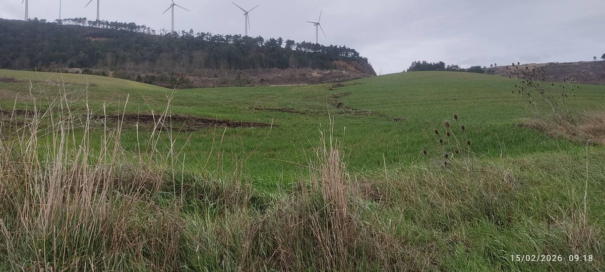 Radiovoluntarios de Emergencia NAVARRA tweet media