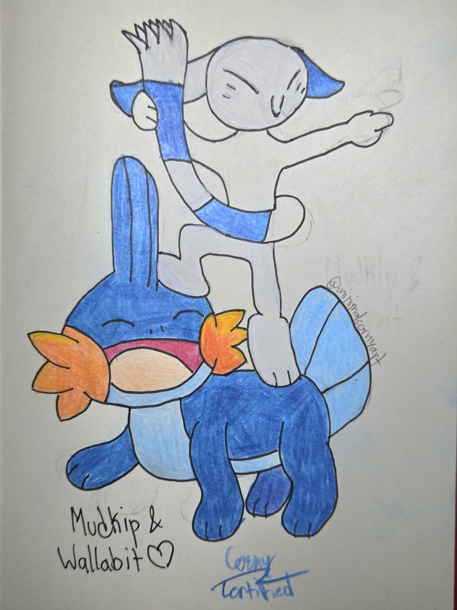 Mudkip and Wallabit as Poképals! (the beta water starter...) #pokemonfanart #hoenn