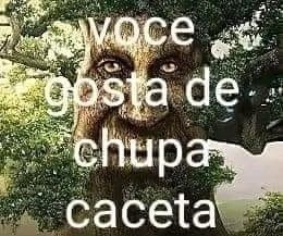 DATA FODA SE tweet media