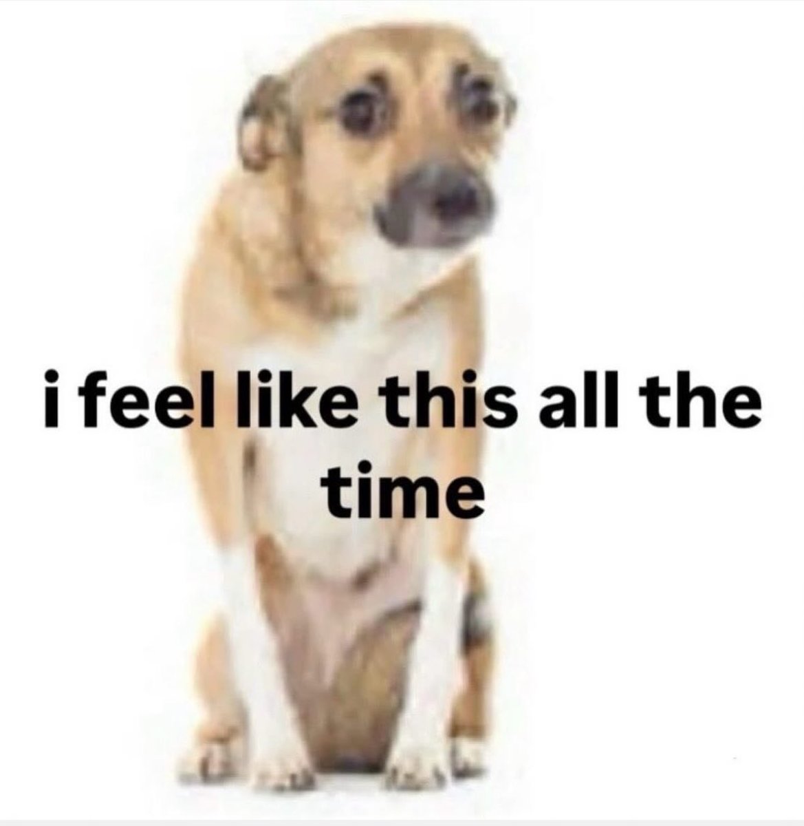 ✧ (@northstardoll) on Twitter photo 