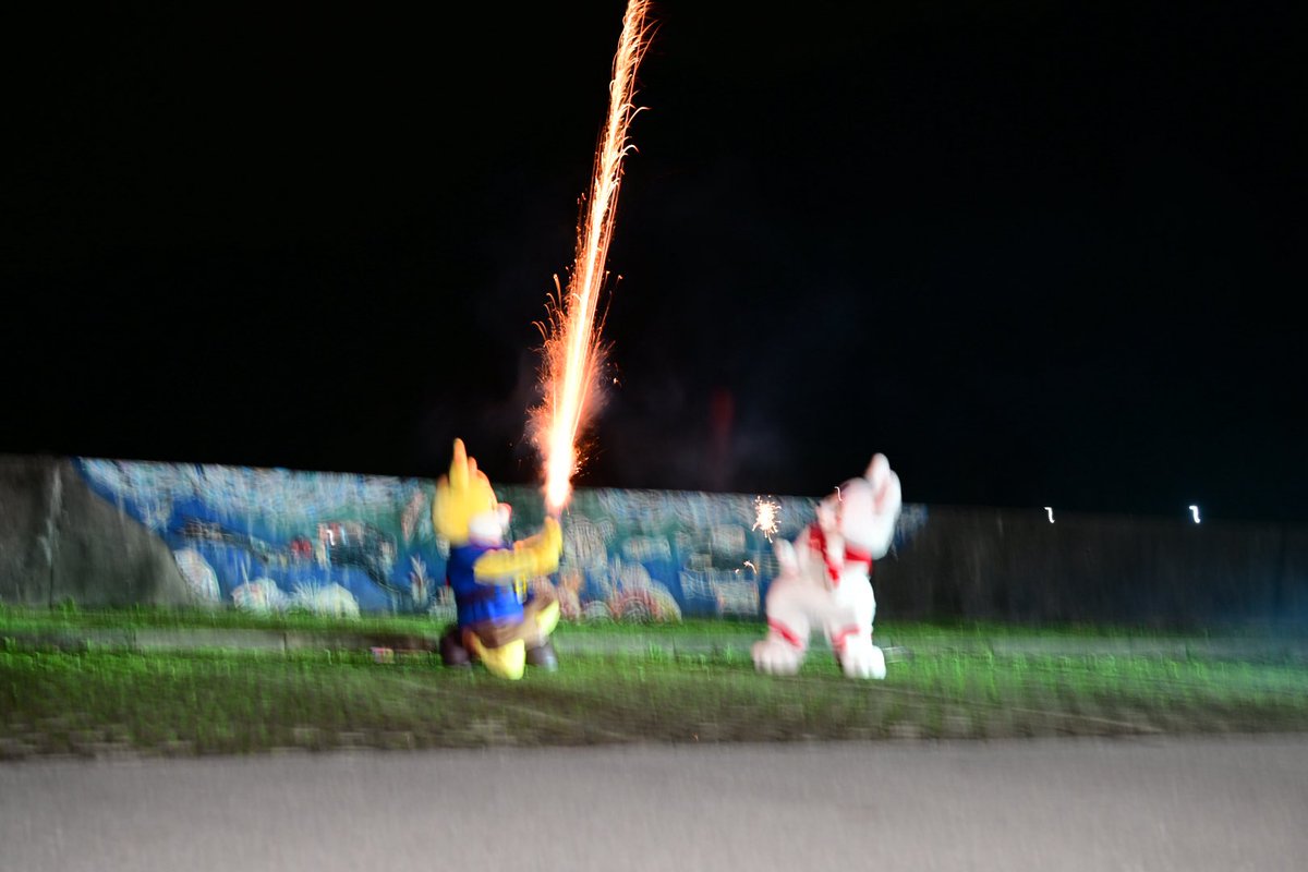 たっぴー【公式】 tweet media