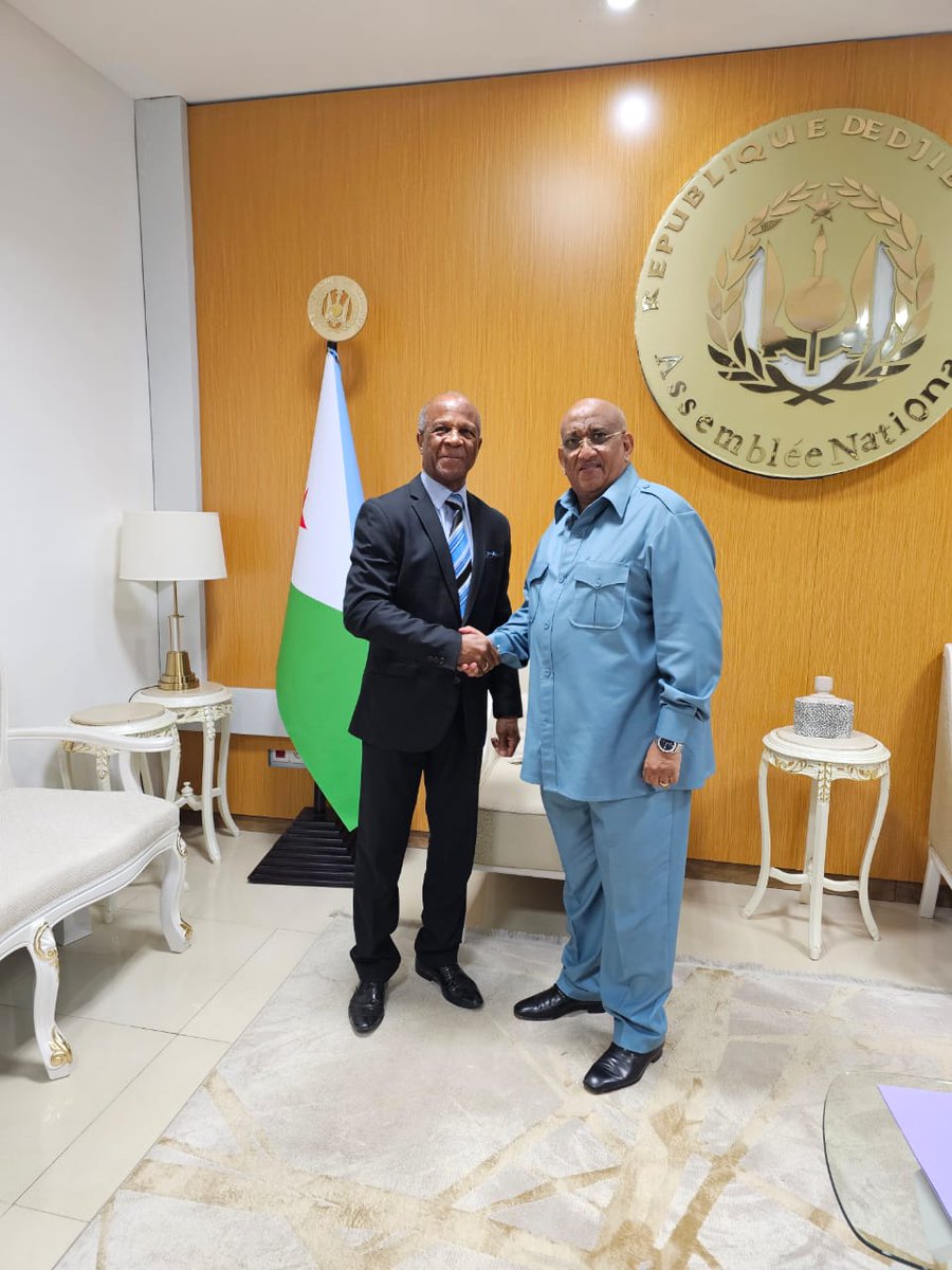 Le président de l'Assemblée nationale de la République de #Djibouti a reçu l'ambassadeur de #Cuba.
misiones.cubaminrex.cu/fr/articulo/le…