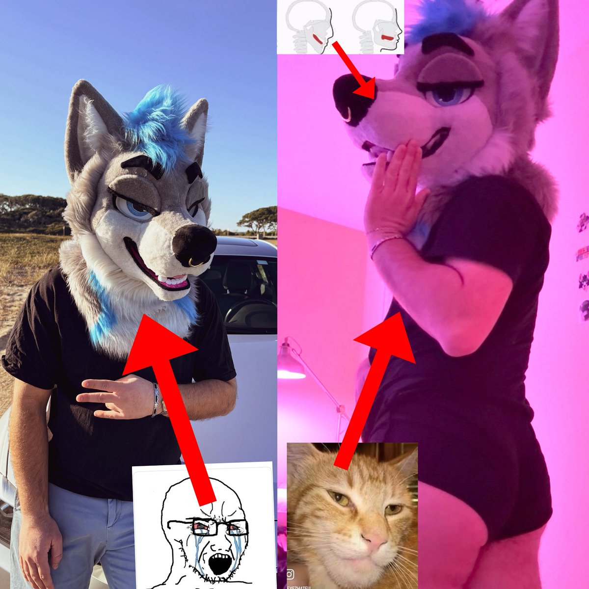 dog gets frame mogged by asu furry